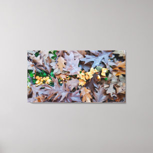 Autumn w/ yellow mushrooms and brown fallen leaves canvas print