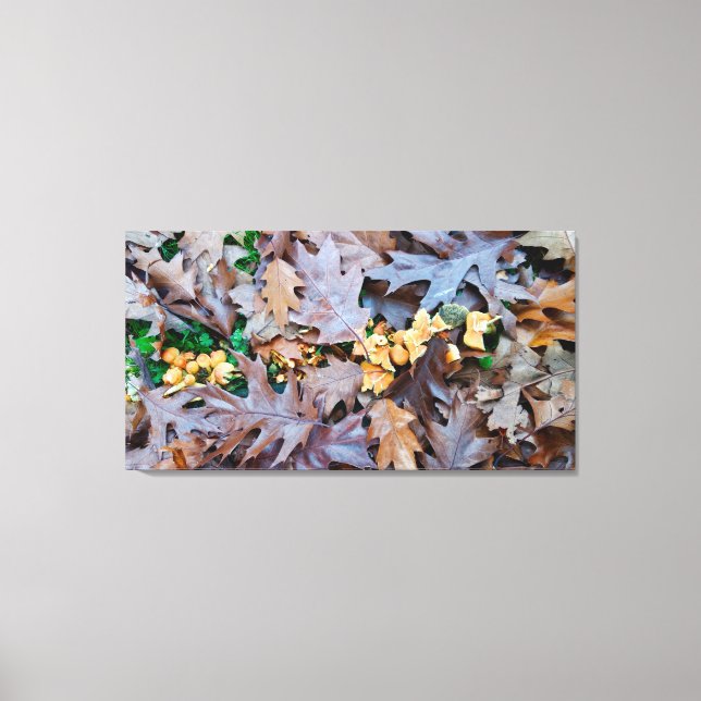 Autumn w/ yellow mushrooms and brown fallen leaves canvas print (Front)