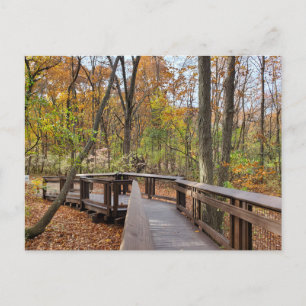 Autumn walk postcard