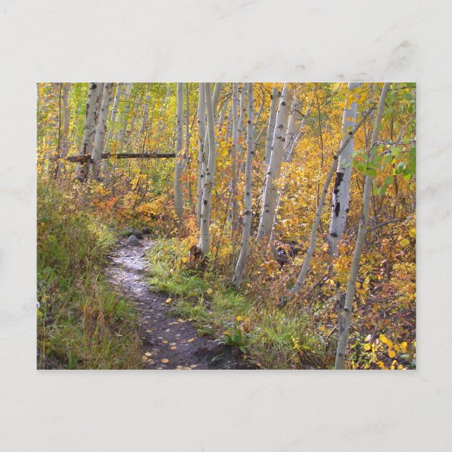 Autumn Walk Postcard (Front)