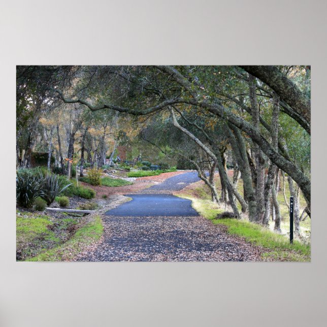 "Autumn Walk" Poster (Front)