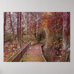 Autumn Walk Poster