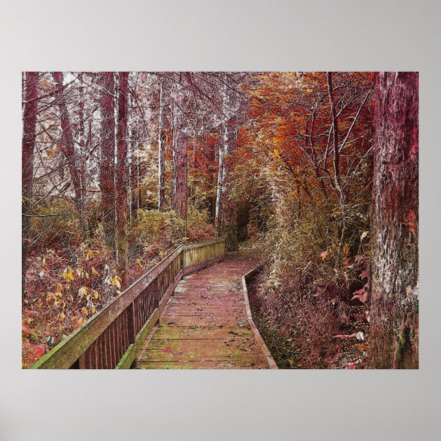 Autumn Walk Poster (Front)