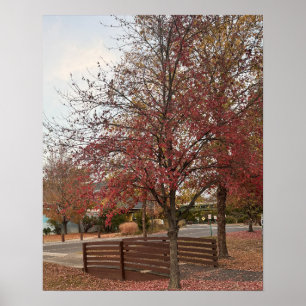 Autumn Walking Bridge Poster