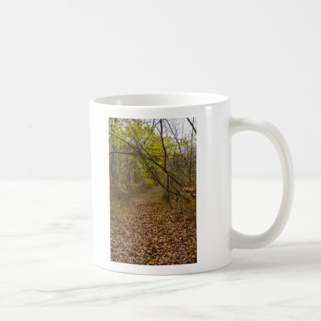 Autumn Walkway Coffee Mug (Right)