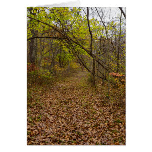 Autumn Walkway Greeting Card