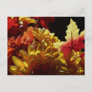 Autumn Warmth Postcard