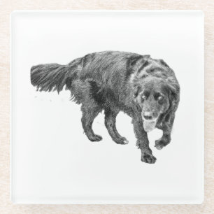Autumn Watch Beneath the Leaves Glass Coaster