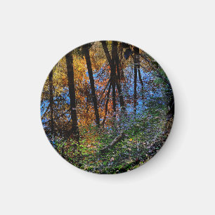 Autumn Waters Magnet