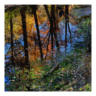 Autumn Waters Photo Print
