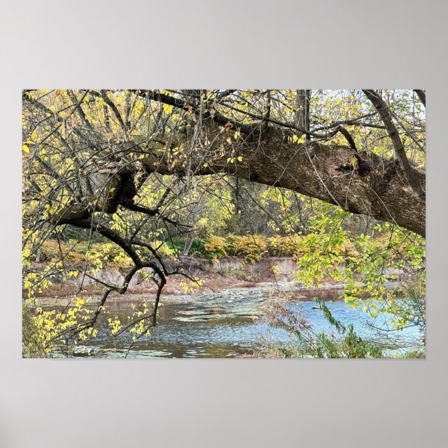 Autumn Waterscape Poster (Front)