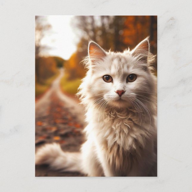 AUTUMN white cat POSTCARDS (Front)