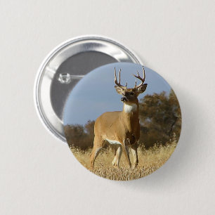 Autumn Whitetail Buck 6 Cm Round Badge