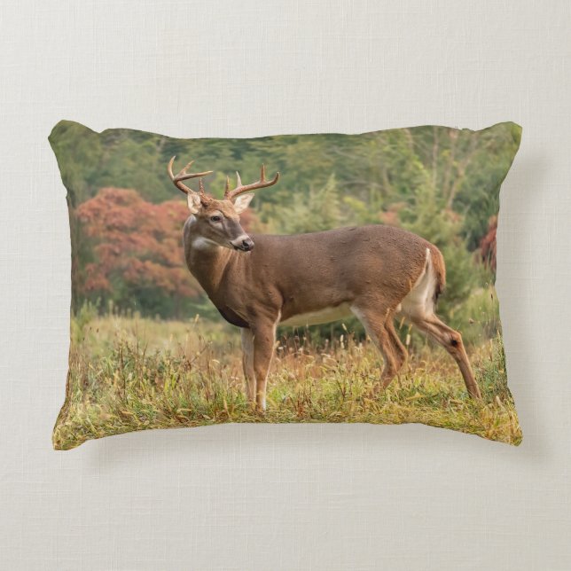 Autumn Whitetail Buck Decorative Cushion (Front)