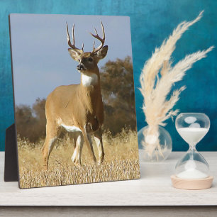 Autumn Whitetail Buck Plaque