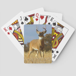 Autumn Whitetail Buck Playing Cards
