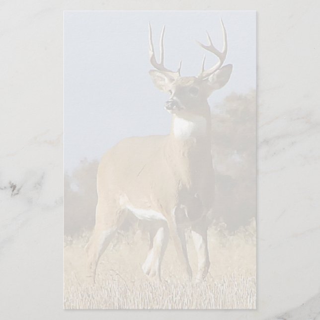 Autumn Whitetail Buck Stationery (Front)