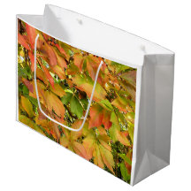 Autumn wild grapevine leaves