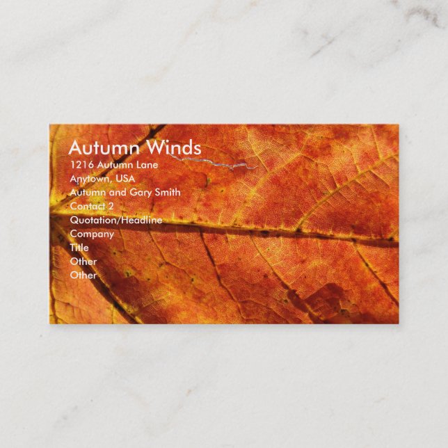Autumn Winds , Autumn Leaf Macro Photo Business Card (Front)