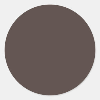 Autumn Winter Colour Hot Fudge Classic Round Sticker