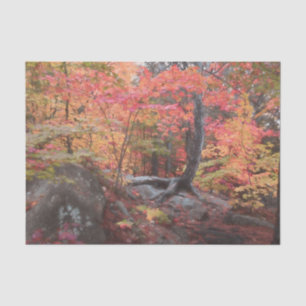Autumn Woodland Forest Red Orange Trees Decoupage Tissue Paper