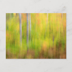 Autumn Woodland   Michigan, Upper Peninsula Postcard