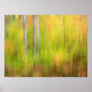 Autumn Woodland Michigan, Upper Peninsula Poster