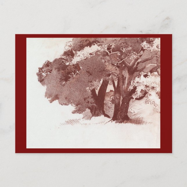 Autumn Woodland Oak Trees Art Postcard (Front)