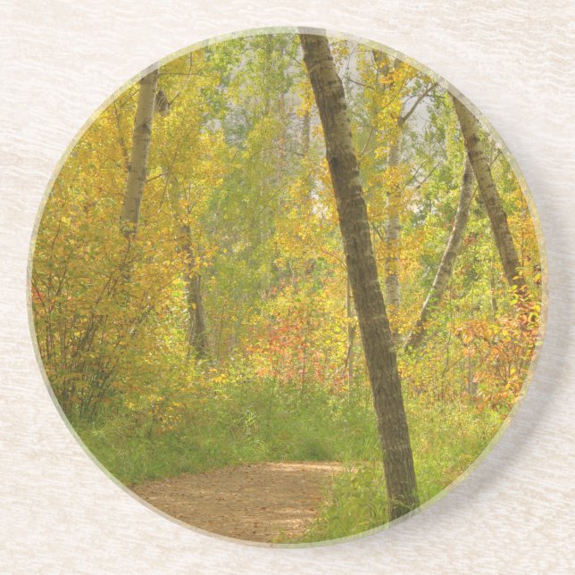 Autumn Woodlands Coaster (Front)