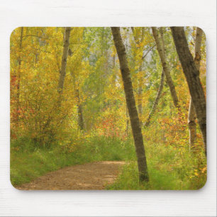 Autumn Woodlands Mouse Mat
