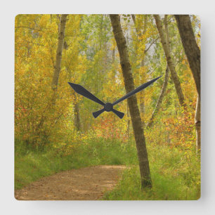 Autumn Woodlands Square Wall Clock
