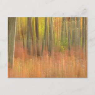 Autumn woods abstract postcard