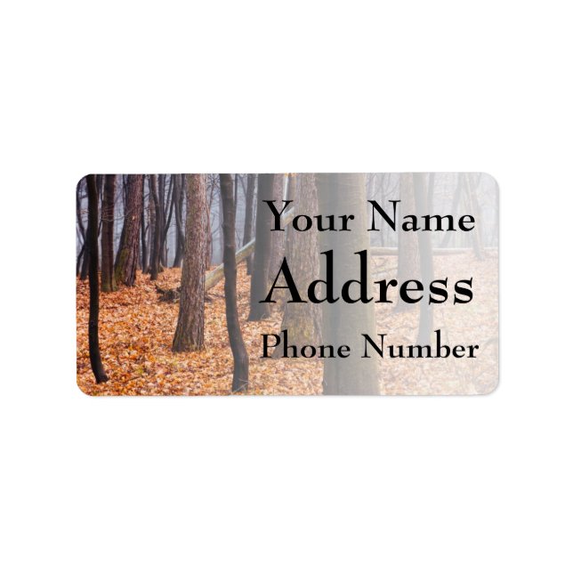 Autumn Woods, Forest Photograph Label (Front)