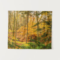Autumn Woods Forest Trees Nature Small