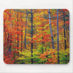 Autumn Woods Mouse Pad