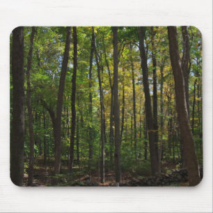 Autumn Woods Mousepad