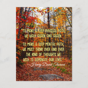 Autumn Woods New Hampshire Motivational Quote Postcard