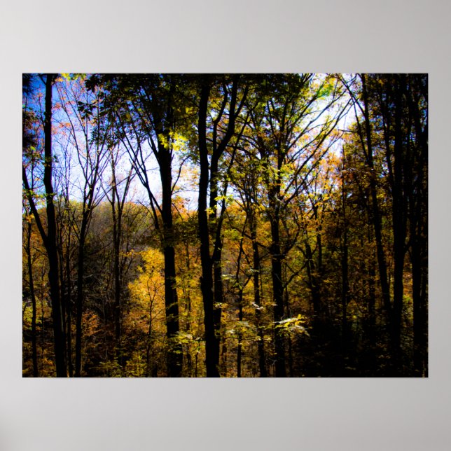 Autumn Woods Poster (Front)