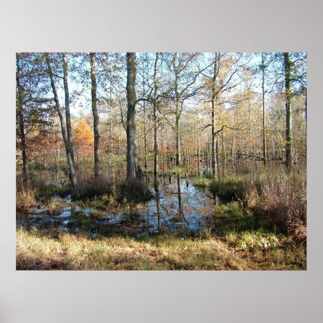 Autumn Woods Poster (Front)