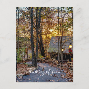 Autumn Woods Sunset Walkway Thinking Of You Postcard