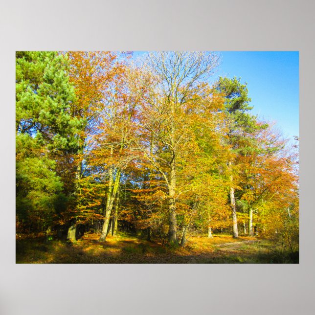 Autumn Woods & Sunshine - Personalised Poster (Front)