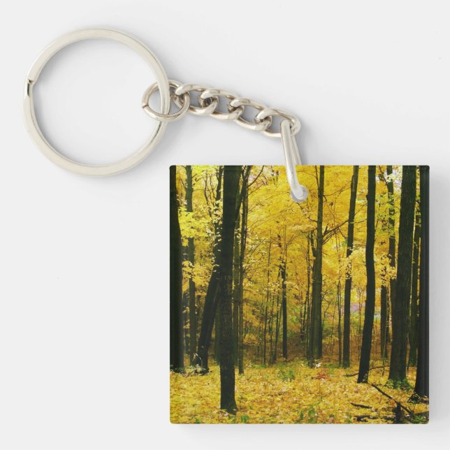 Autumn Yellow Forest Key Ring (Front)