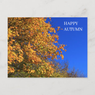 Autumn Yellow Forest Postcard
