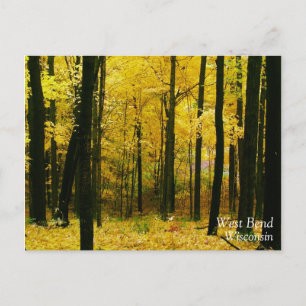 Autumn Yellow Forest Postcard