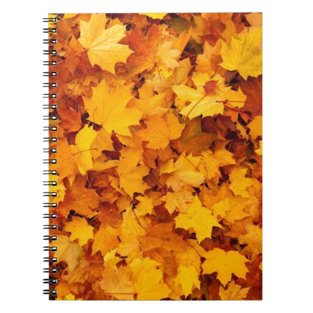 Autumn Yellow Maple Leaves Notebook (Front)