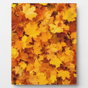 Autumn Yellow Maple Leaves Plaque