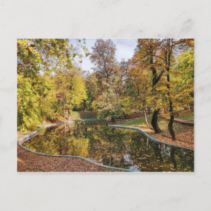 Autumn Yellow Park Trees Reflection Postcard