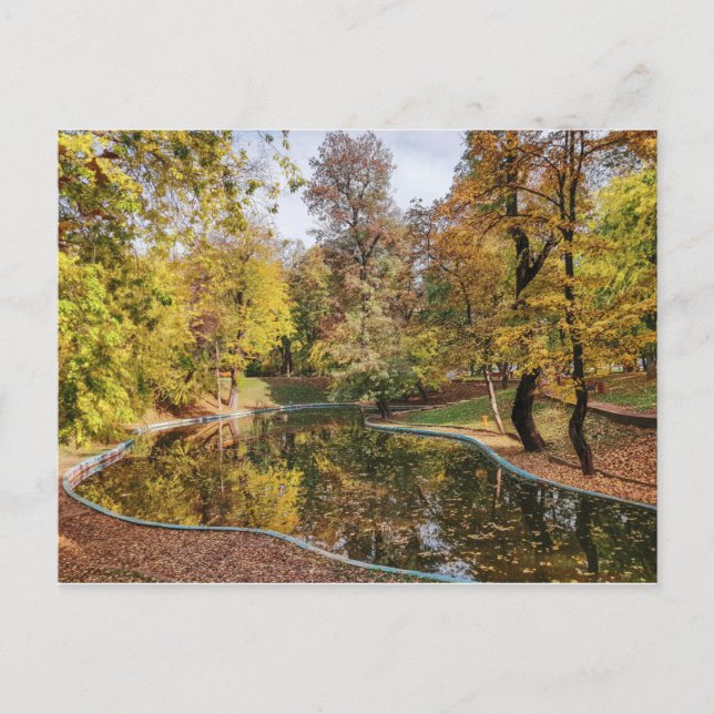 Autumn Yellow Park Trees Reflection Postcard (Front)