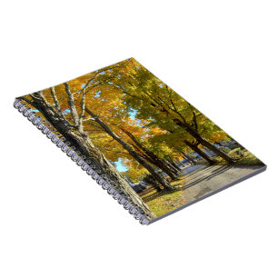 Autumn Yellow Path Spiral Notebook