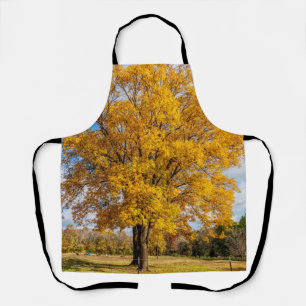 Autumn Yellow Sugar Maple Apron